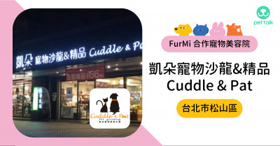 #台北市松山區｜凱朵寵物-三民店