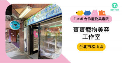 #台北市松山區｜寶寶寵物美容工作室
