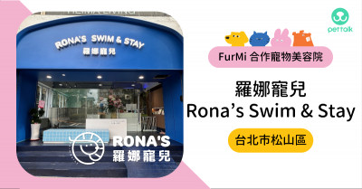 #台北市松山區｜羅娜寵兒