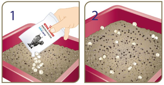 PetTalk來開箱】一秒發現貓咪血尿，就靠這個藍藍的小顆粒了！｜PetTalk 