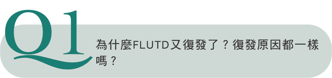 貓咪看起來好好的，為什麼又忽然血尿了？｜專業獸醫u2014陳郁晴 PetTalk 