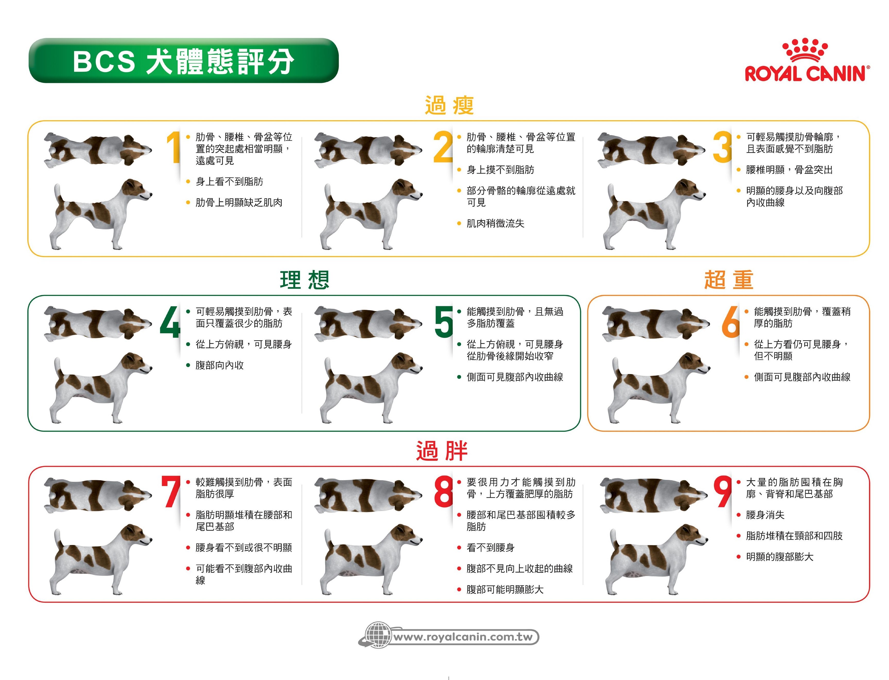 飲食療法開箱 胖胖毛孩的減重作戰計畫 Pettalk愛寵健康談 Pettalk 說寵物 飲食療法開箱 胖胖毛孩的減重作戰計畫 Pettalk愛寵健康談 Pettalk 說寵物