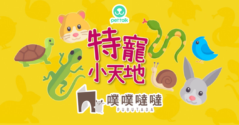 特寵小天地