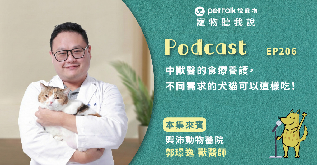 【寵物聽我說】EP206｜中獸醫的食療養護，原來不同需求的犬貓可以這樣吃！｜專業獸醫—郭璟逸