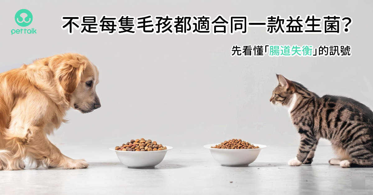 不是每隻毛孩都適合同一款益生菌？先看懂「腸道失衡」的訊號｜專業獸醫—林孟潔