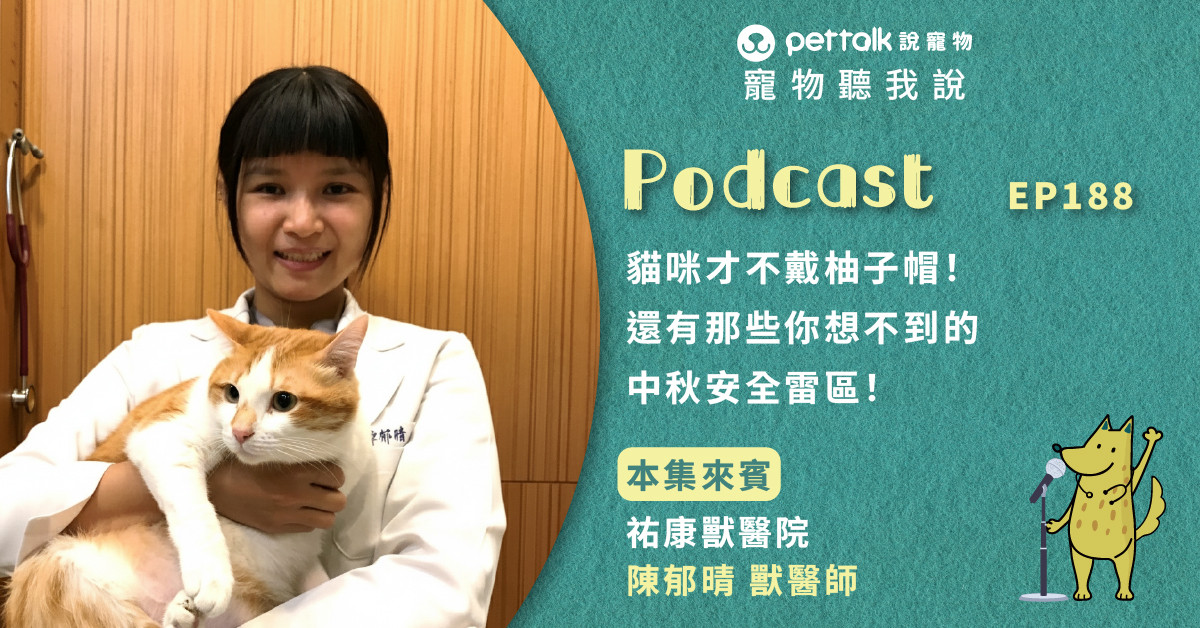 【寵物聽我說】EP188｜貓咪才不戴柚子帽！還有那些你想不到的中秋安全雷區！｜專業獸醫—陳郁晴
