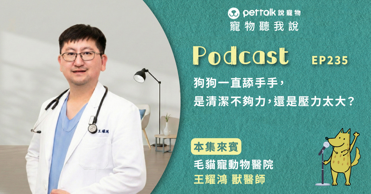 【寵物聽我說】EP235｜狗狗一直舔手手，是清潔不夠力，還是壓力太大？｜專業獸醫—王耀鴻