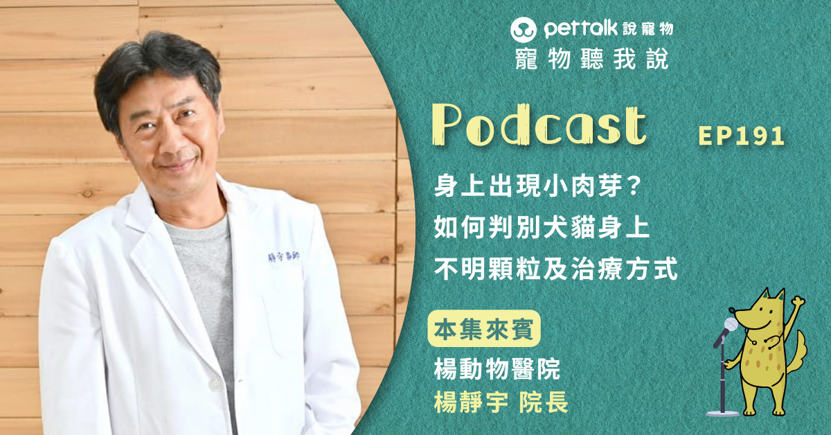 【寵物聽我說】EP191｜身上出現小肉芽？如何判別犬貓身上不明顆粒及治療方式｜專業獸醫—楊靜宇