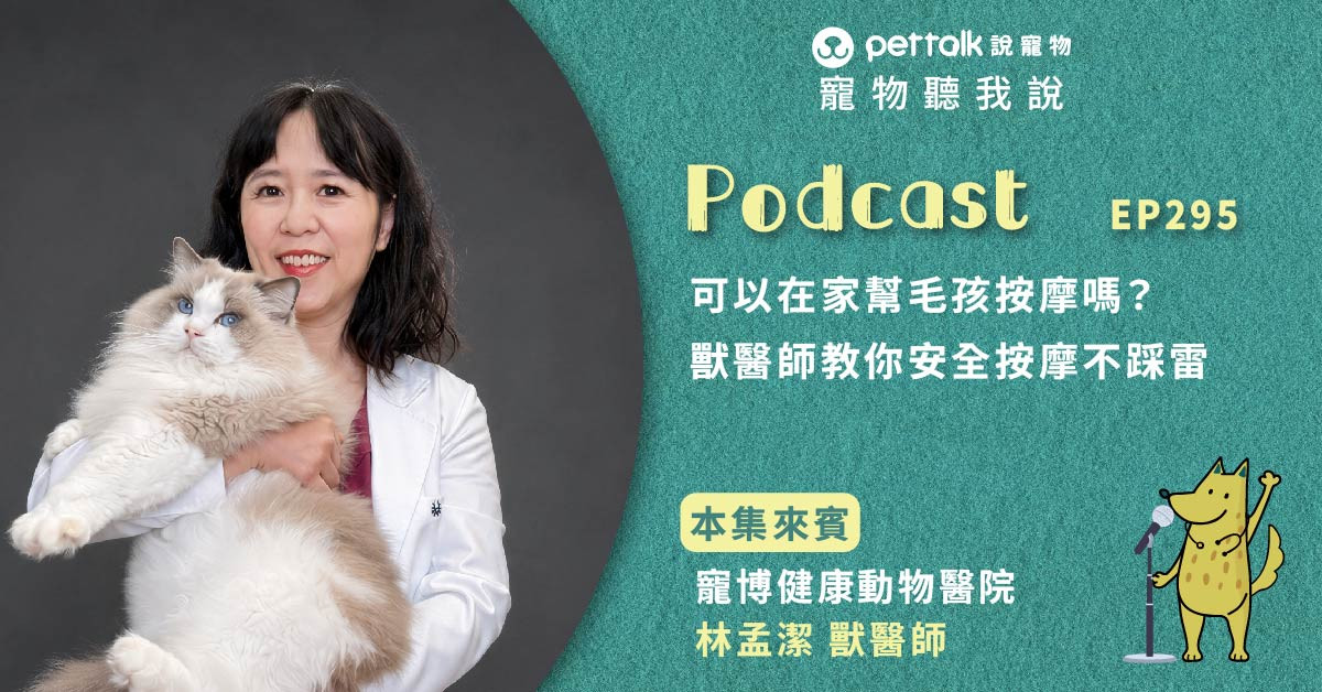【寵物聽我說】EP295｜可以在家幫毛孩按摩嗎？獸醫師教你安全按摩不踩雷｜專業獸醫—林孟潔