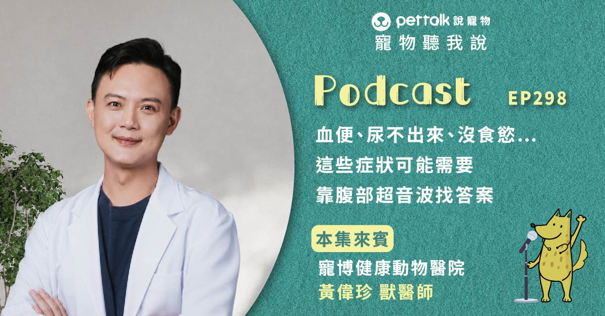 【寵物聽我說】EP298｜血便、尿不出來、沒食慾…這些症狀可能需要靠腹部超音波找答案｜專業獸醫—黃偉珍