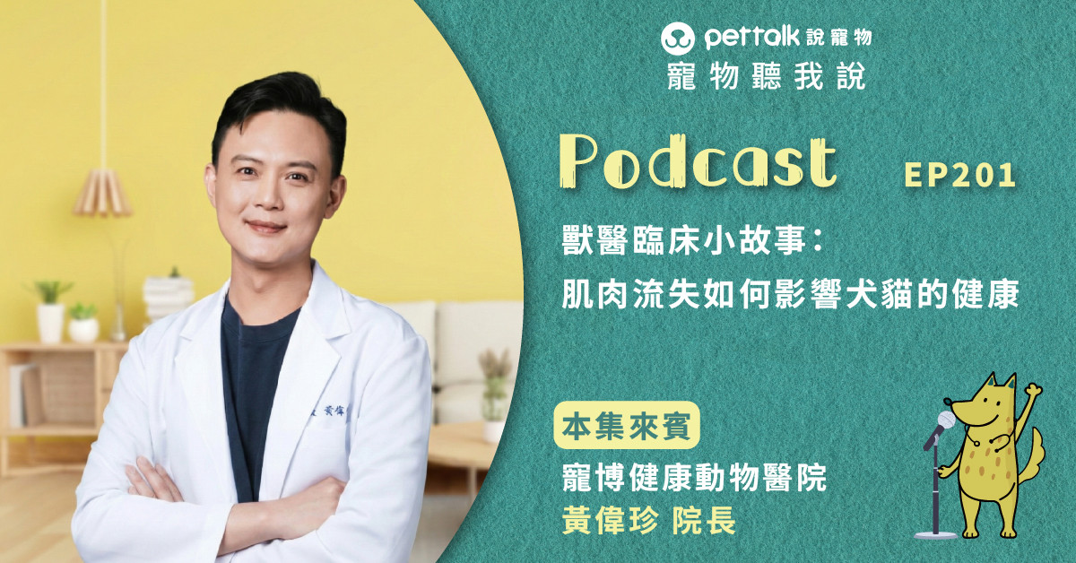 【寵物聽我說】EP201｜獸醫臨床小故事：肌肉流失如何影響犬貓的健康｜專業獸醫—黃偉珍