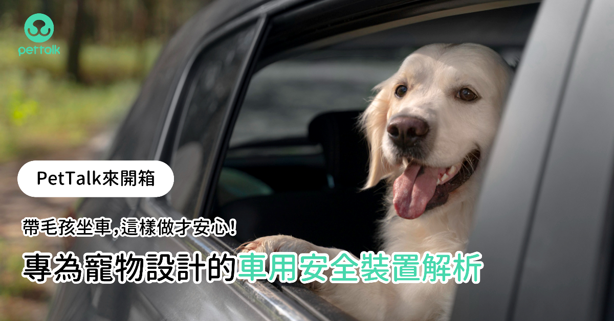 【PetTalk來開箱】帶毛孩坐車，這樣做才安心！專為寵物設計的車用安全裝置解析｜專業獸醫—黃偉珍