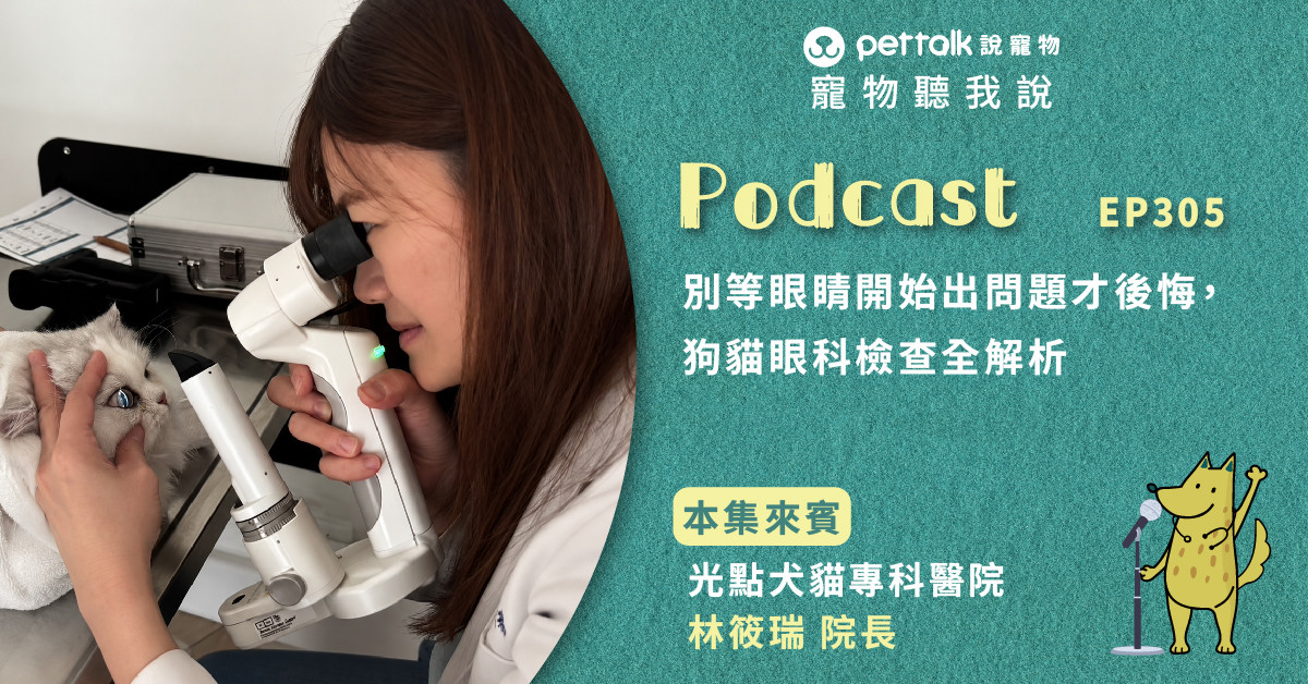 【寵物聽我說】EP305｜別等眼睛開始出問題才後悔，狗貓眼科檢查全解析｜專業獸醫—林筱瑞