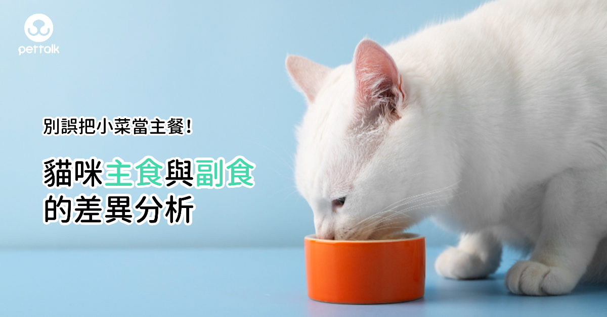 別誤把小菜當主餐！貓咪主食與副食的差異分析｜專業獸醫—蔡定宏