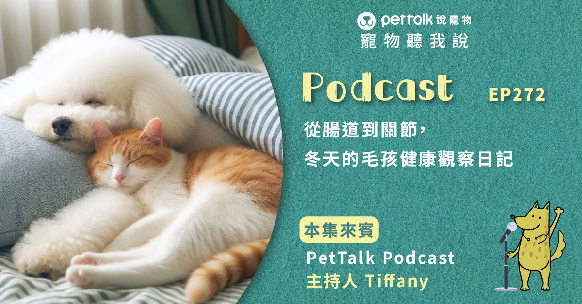 【寵物聽我說】EP272｜從腸道到關節，冬天的毛孩健康觀察日記｜PetTalkPodcast主持人—Tiffany