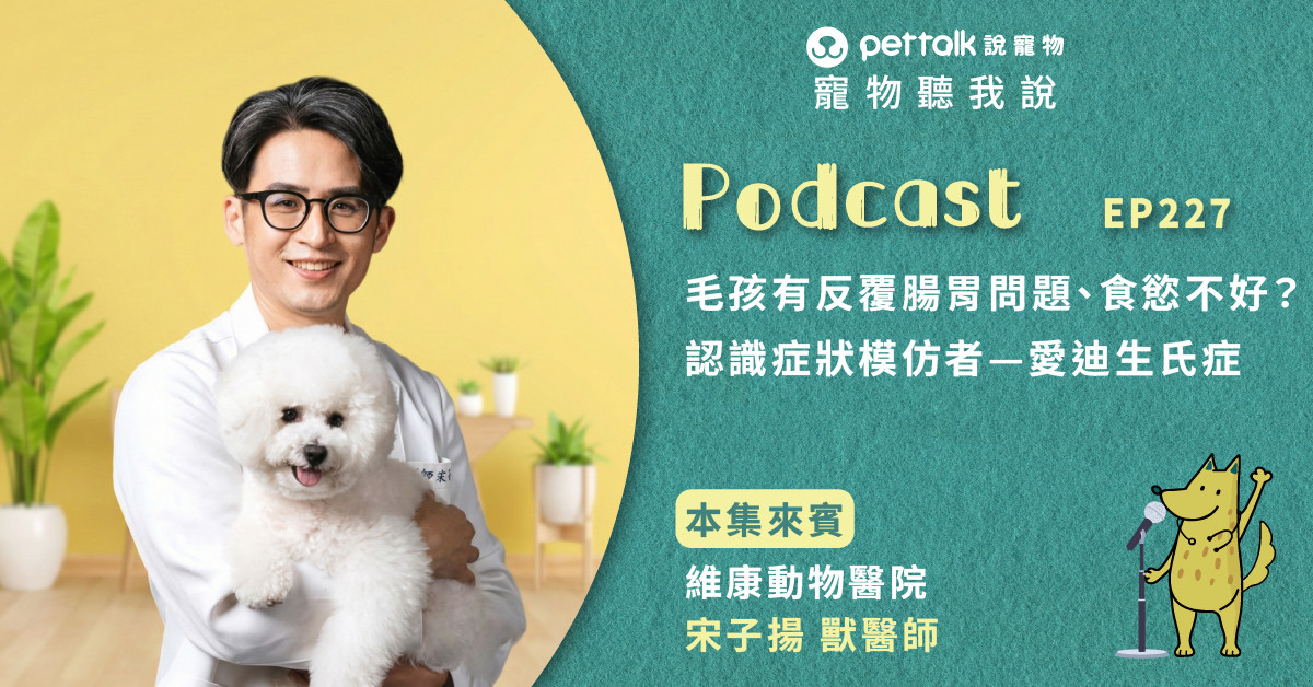 【寵物聽我說】EP227｜毛孩有反覆腸胃問題、食慾不好？認識症狀模仿者—愛迪生氏症｜專業獸醫—宋子揚