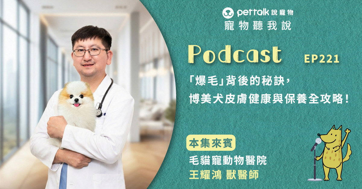 【寵物聽我說】EP221｜「爆毛」背後的秘訣，博美犬皮膚健康與保養全攻略！｜專業獸醫—王耀鴻