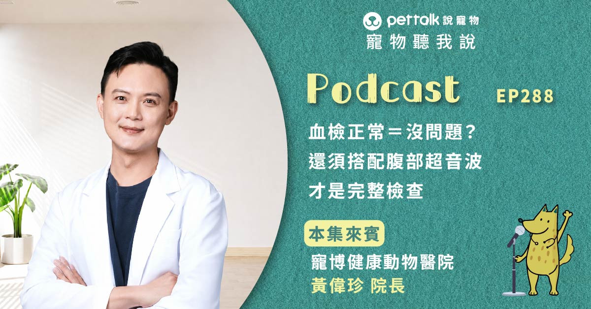 【寵物聽我說】EP288｜血檢正常＝沒問題？還須搭配腹部超音波才是完整檢查｜專業獸醫—黃偉珍