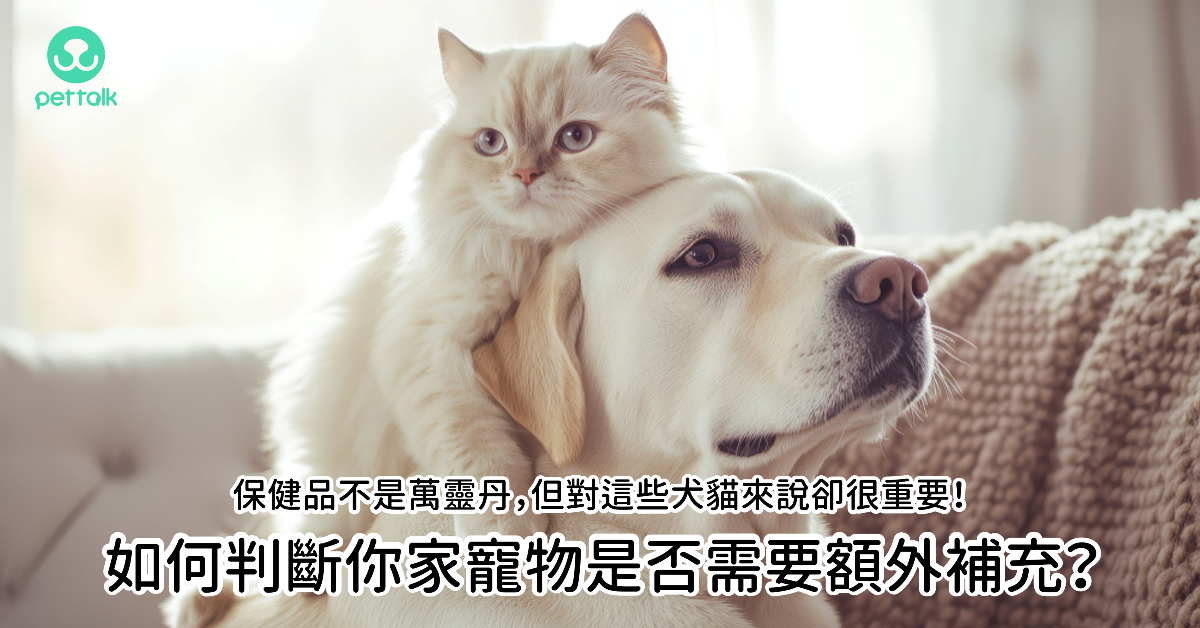 保健品不是萬靈丹，但對這些犬貓來說卻很重要！如何判斷你家寵物是否需要額外補充？｜專業獸醫—蔡定宏