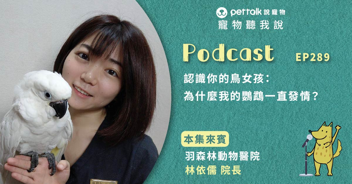 【寵物聽我說】EP289｜認識你的鳥女孩：為什麼我的鸚鵡一直發情？｜專業獸醫—林依儒