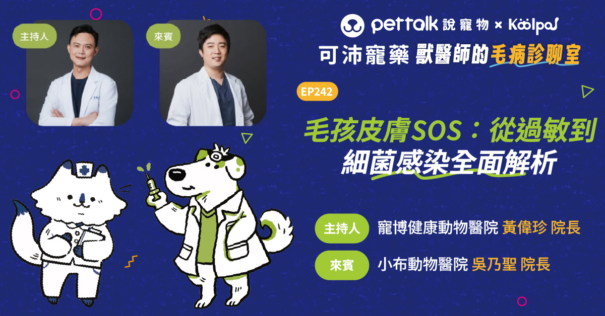 【寵物聽我說】EP242｜《可沛寵藥-獸醫師的毛病診聊室》毛孩皮膚SOS：從過敏到細菌感染全面解析