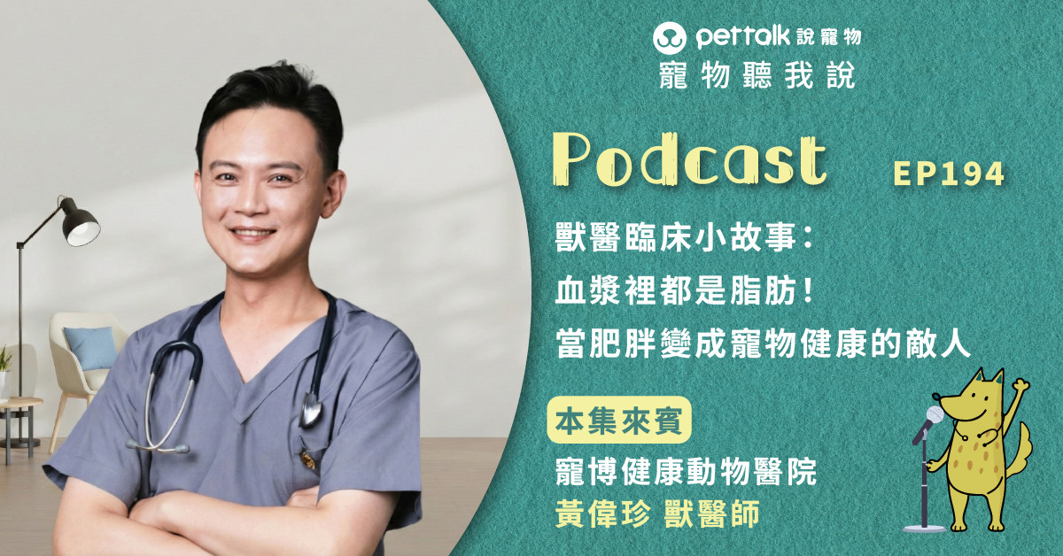 【寵物聽我說】EP194｜獸醫臨床小故事：血漿裡都是脂肪！當肥胖變成寵物健康的敵人｜專業獸醫—黃偉珍