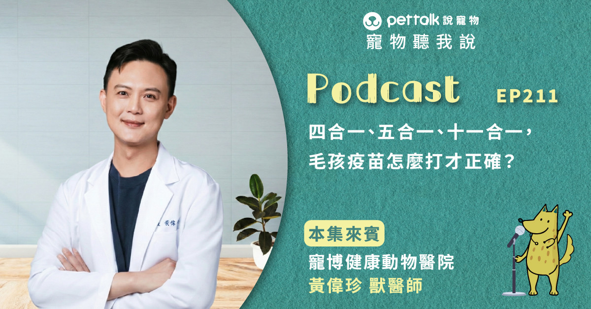 【寵物聽我說】EP211｜四合一、五合一、十一合一，毛孩疫苗怎麼打才正確？｜專業獸醫—黃偉珍