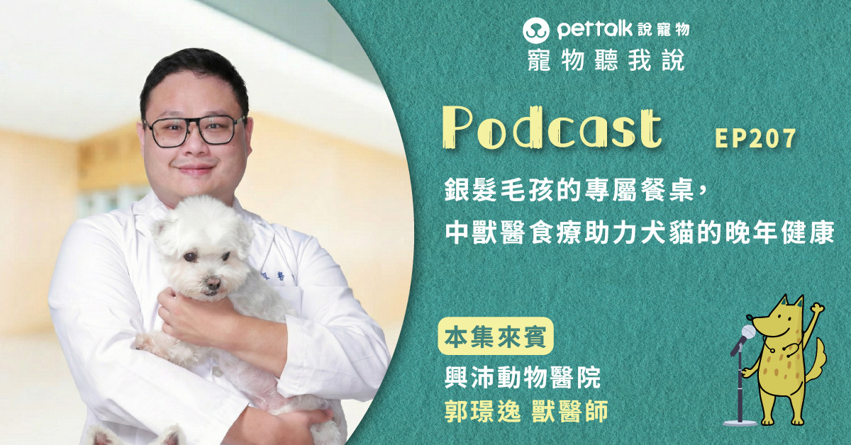 【寵物聽我說】EP207｜銀髮毛孩的專屬餐桌，中獸醫食療助力犬貓的晚年健康｜專業獸醫—郭璟逸