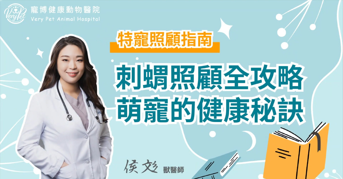 【特寵小天地】刺蝟照顧指南：刺蝟照顧全攻略，萌寵的健康秘訣｜侯彣獸醫師