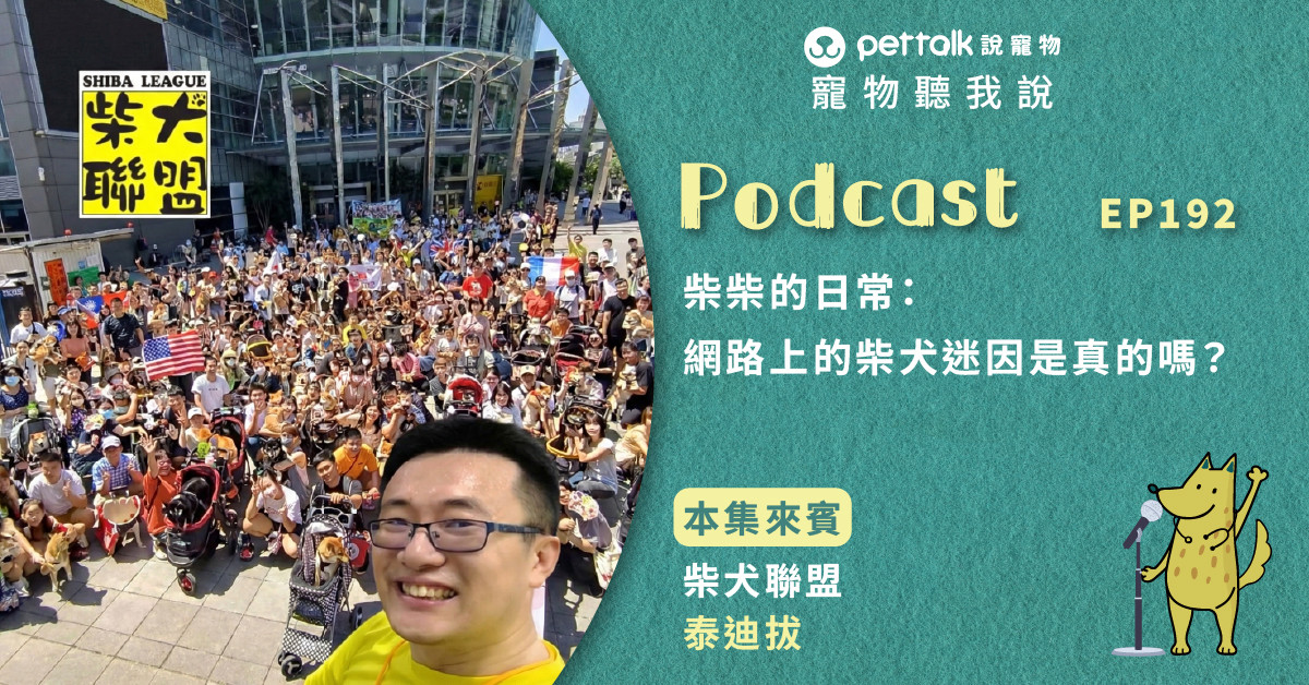 【寵物聽我說】EP192｜柴柴的日常：網路上的柴犬迷因是真的嗎？｜柴犬聯盟—泰迪拔