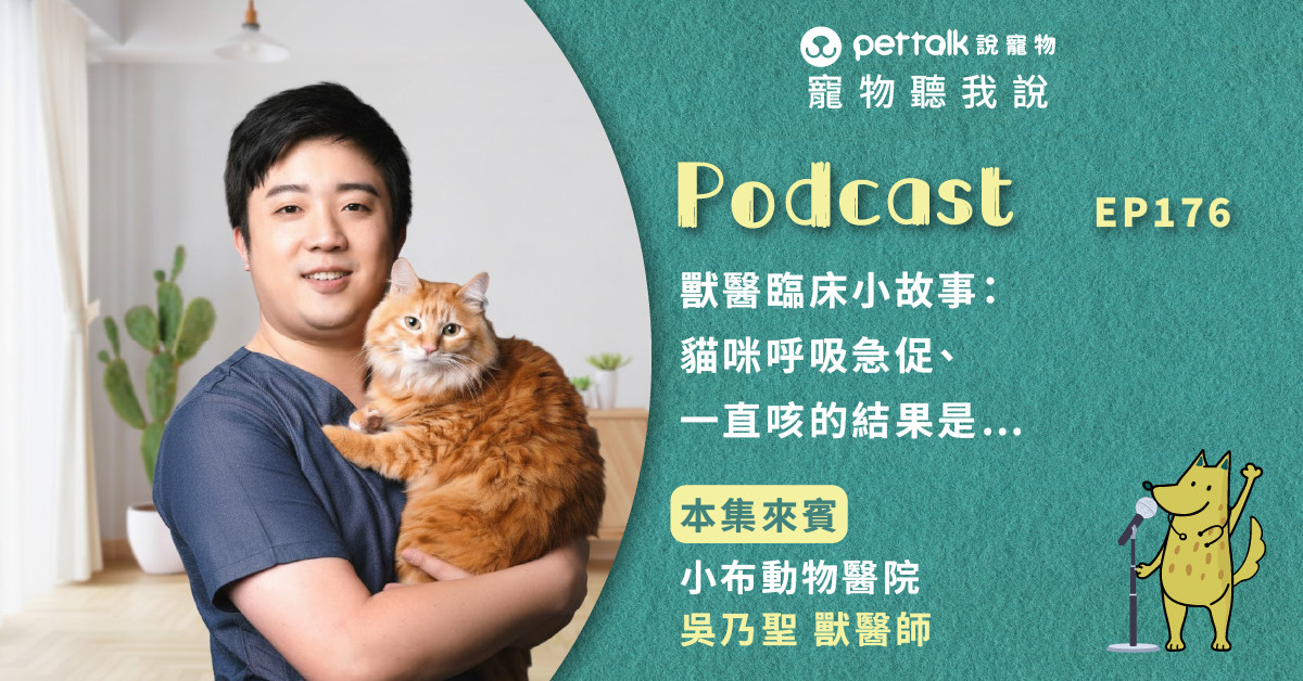 【寵物聽我說】EP176-獸醫臨床小故事：貓咪呼吸急促、一直咳的結果是…｜專業獸醫—吳乃聖