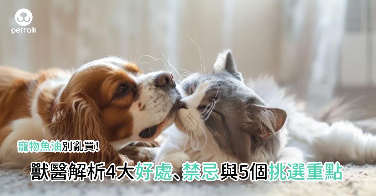寵物魚油別亂買！獸醫解析4大好處、禁忌與5個挑選重點｜專業獸醫—林孟潔