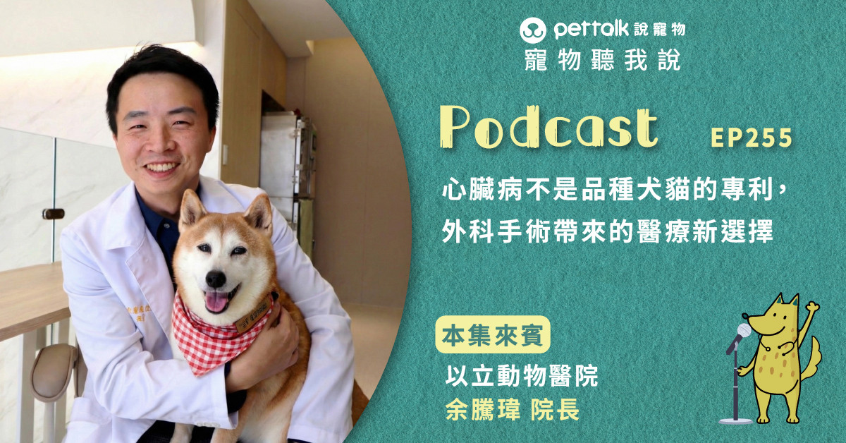 【寵物聽我說】EP255｜心臟病不是品種犬貓的專利，外科手術帶來的醫療新選擇｜專業獸醫—余騰瑋