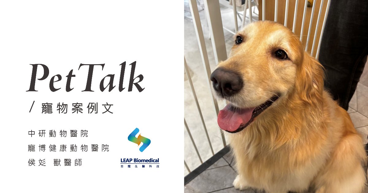 【寵物案例分享】面對進入熟齡階段的大型犬,我們可以怎麼做|專業獸醫—侯彣