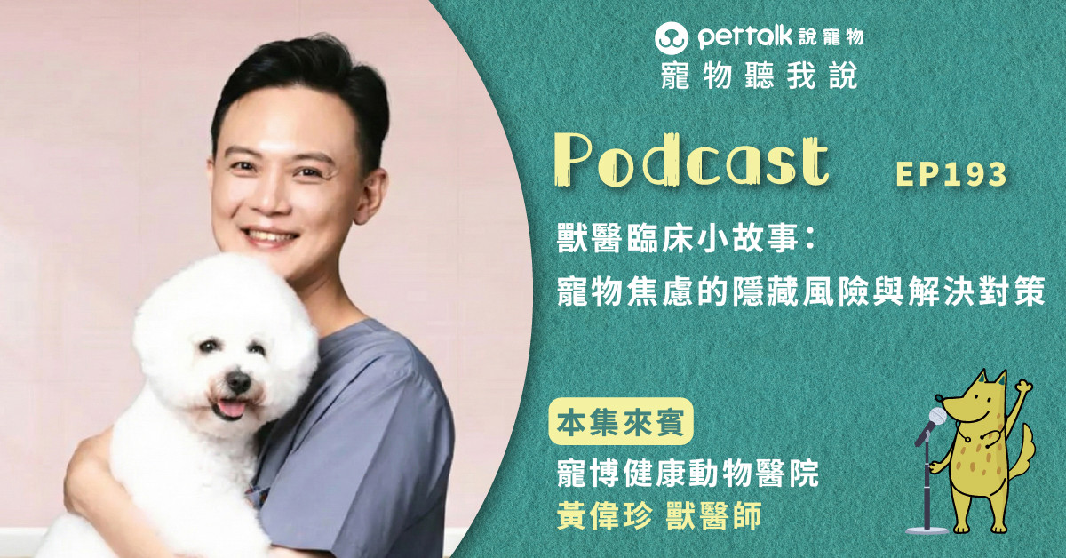 【寵物聽我說】EP193｜獸醫臨床小故事：寵物焦慮的隱藏風險與解決對策｜專業獸醫—黃偉珍