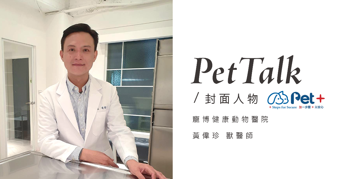 毛孩長照時代來臨，獸醫師談常見傷口護理與環境管理｜專業獸醫—黃偉珍