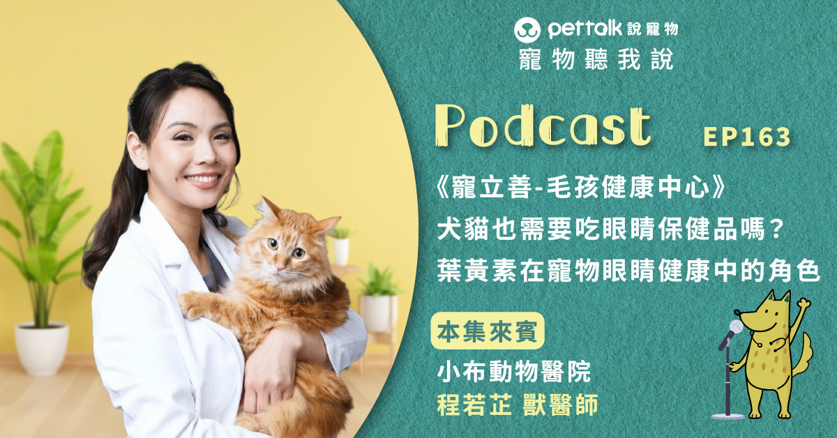 【寵物聽我說】EP163-《寵立善-毛孩健康中心》犬貓也需要吃眼睛保健品嗎？葉黃素在寵物眼睛健康中的角色｜專業獸醫—程若芷