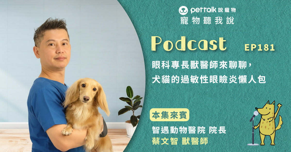 【寵物聽我說】EP181-眼科專長獸醫師來聊聊，犬貓的過敏性眼瞼炎懶人包｜專業獸醫—蔡文智