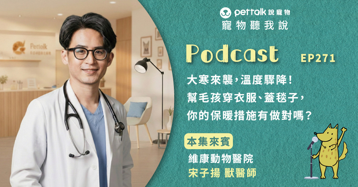 【寵物聽我說】EP271｜大寒來襲，溫度驟降！幫毛孩穿衣服、蓋毯子，你的保暖措施有做對嗎？｜專業獸醫—宋子揚