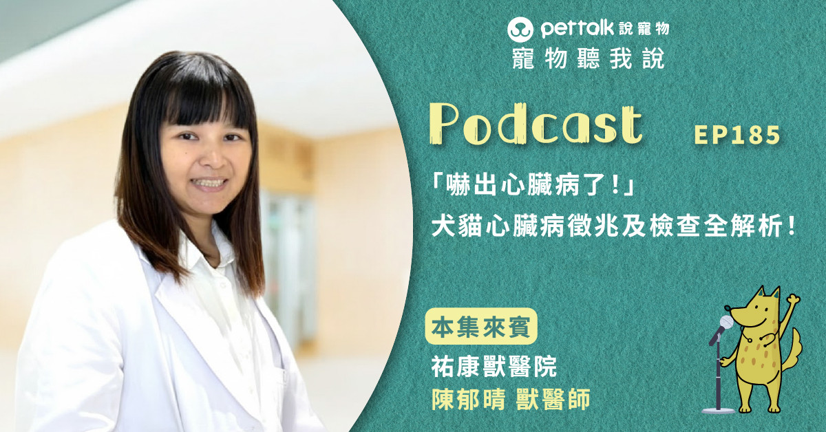 【寵物聽我說】EP185｜「嚇出心臟病了！」犬貓心臟病徵兆及檢查全解析！｜專業獸醫—陳郁晴