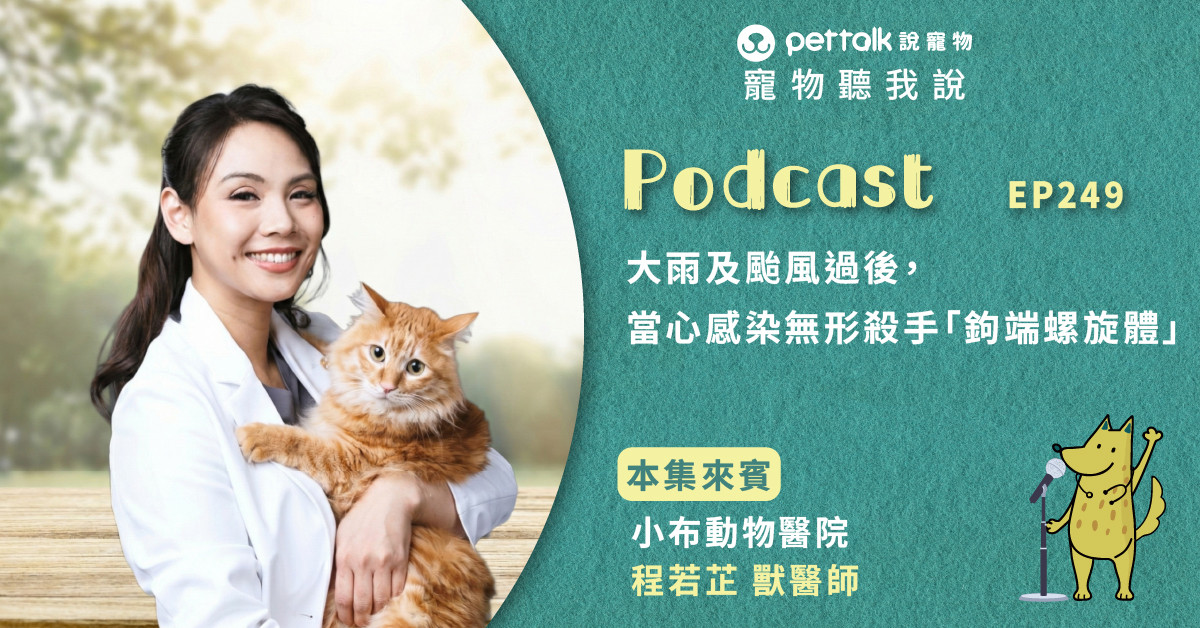 【寵物聽我說】EP249｜大雨及颱風過後，當心感染無形殺手「鉤端螺旋體」｜專業獸醫—程若芷
