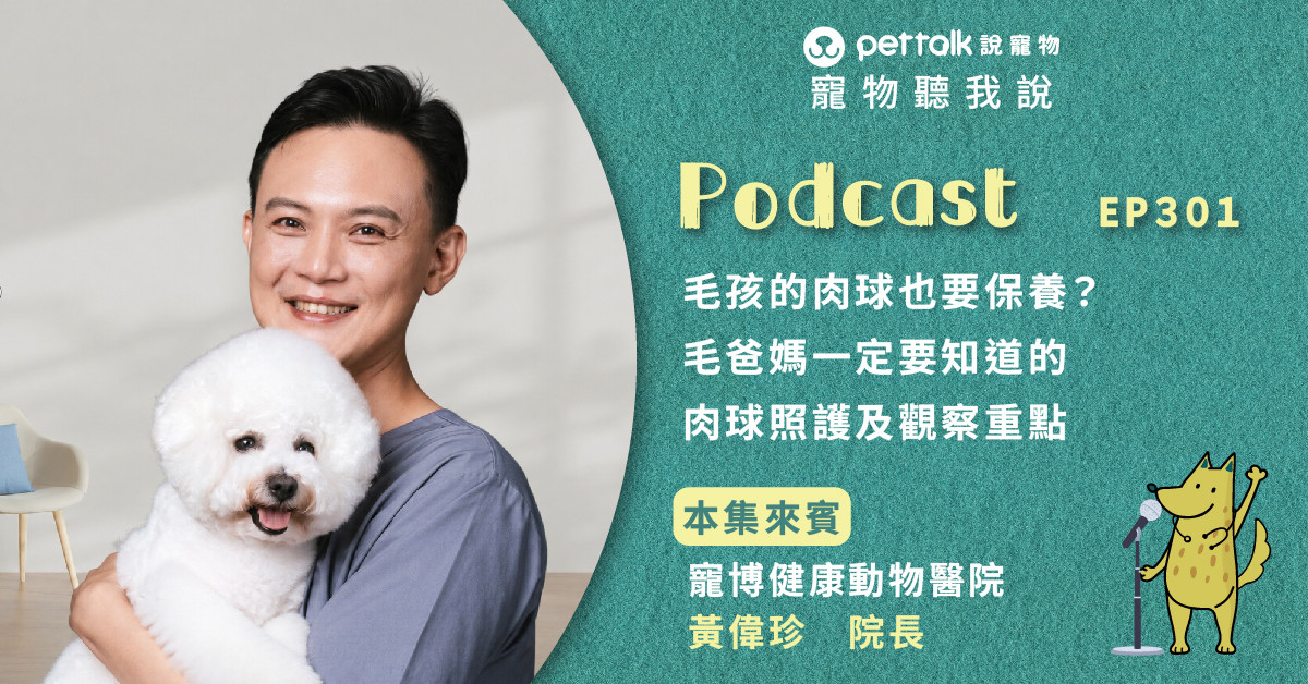 【寵物聽我說】EP301｜毛孩的肉球也要保養？毛爸媽一定要知道的肉球照護及觀察重點｜專業獸醫—黃偉珍