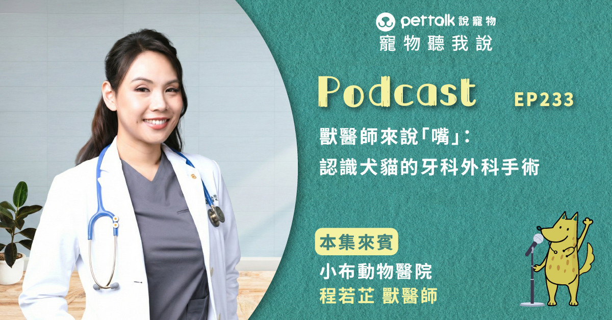 【寵物聽我說】EP233｜獸醫師來說「嘴」：認識犬貓的牙科外科手術｜專業獸醫—程若芷