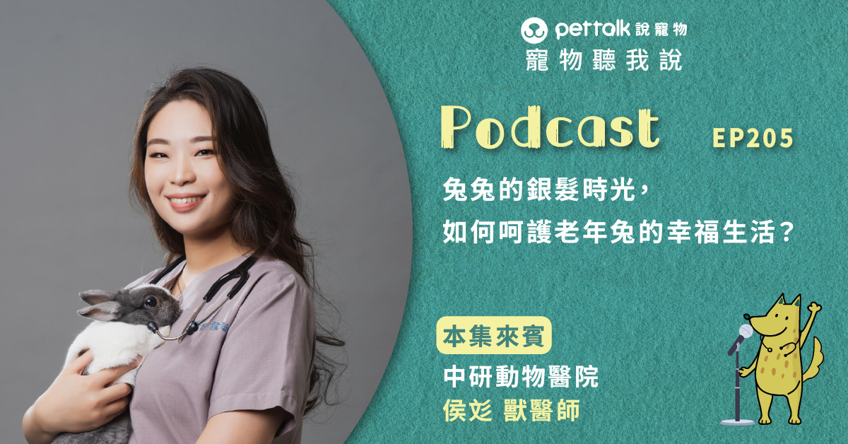 【寵物聽我說】EP205｜兔兔的銀髮時光，如何呵護老年兔的幸福生活？｜專業獸醫—侯彣