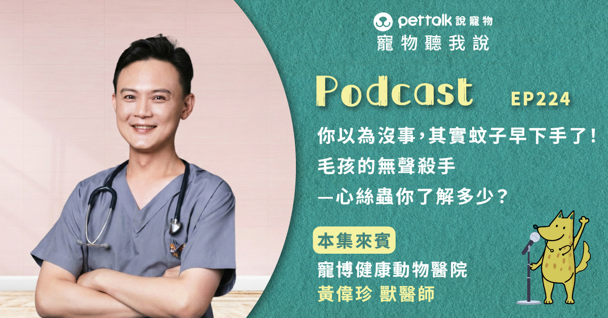【寵物聽我說】EP224｜你以為沒事，其實蚊子早下手了！毛孩的無聲殺手—心絲蟲你了解多少？｜專業獸醫—黃偉珍