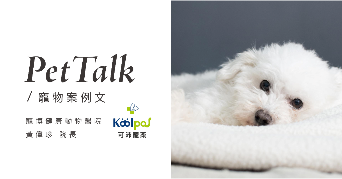 【寵物案例分享】從控制症狀到提升生活品質：皮膚病治療的目標與價值｜專業獸醫—黃偉珍