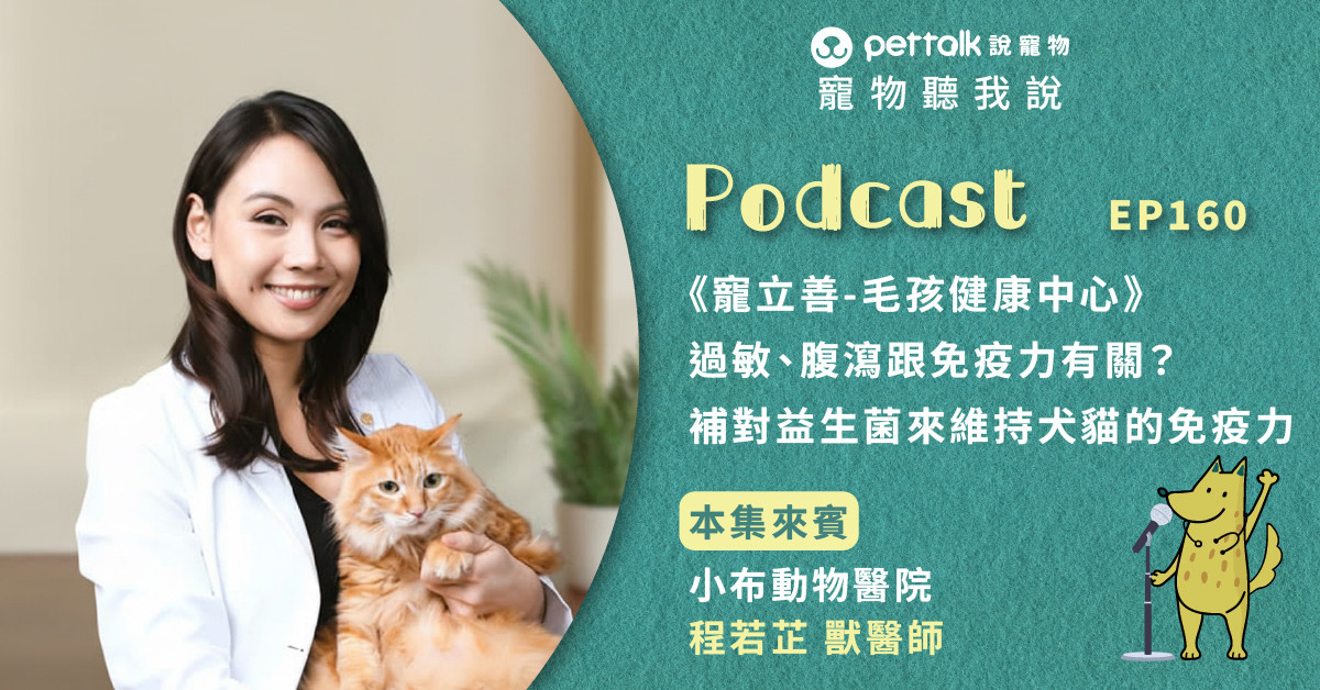 【寵物聽我說】EP160-《寵立善-毛孩健康中心》過敏、腹瀉跟免疫力有關？補對益生菌來維持犬貓的免疫力｜專業獸醫—程若芷