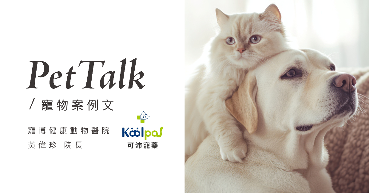 【寵物案例分享】全齡犬貓居家保健，從不飽和脂肪酸開始｜專業獸醫—黃偉珍