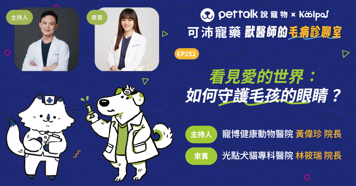【寵物聽我說】EP252｜《可沛寵藥-獸醫師的毛病診聊室》看見愛的世界：如何守護毛孩的眼睛？