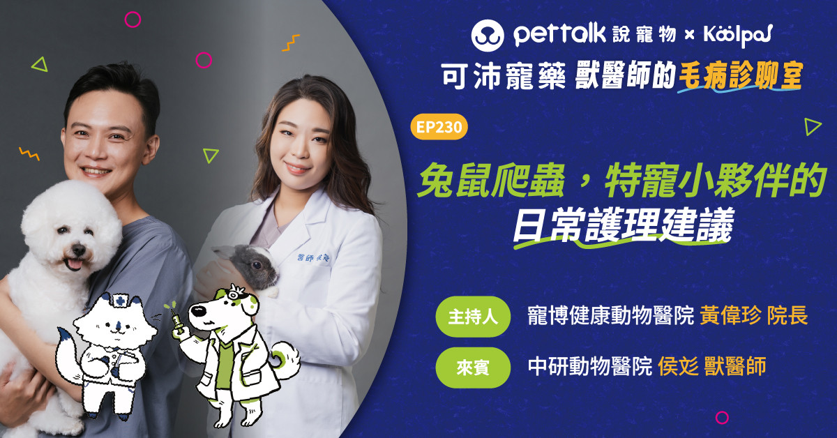 【寵物聽我說】EP230｜《可沛寵藥-獸醫師的毛病診聊室》兔鼠爬蟲，特寵小夥伴的日常護理建議